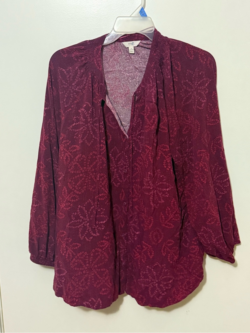 Terra & Sky Burgundy Paisley-Print V-Neck Tunic